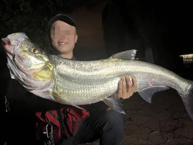 全球顶级赛事免费高清直播-生态治理还是高价钓鱼?西昌邛海4000元钓鱼年卡引质疑 律师:如此收费无法律依据